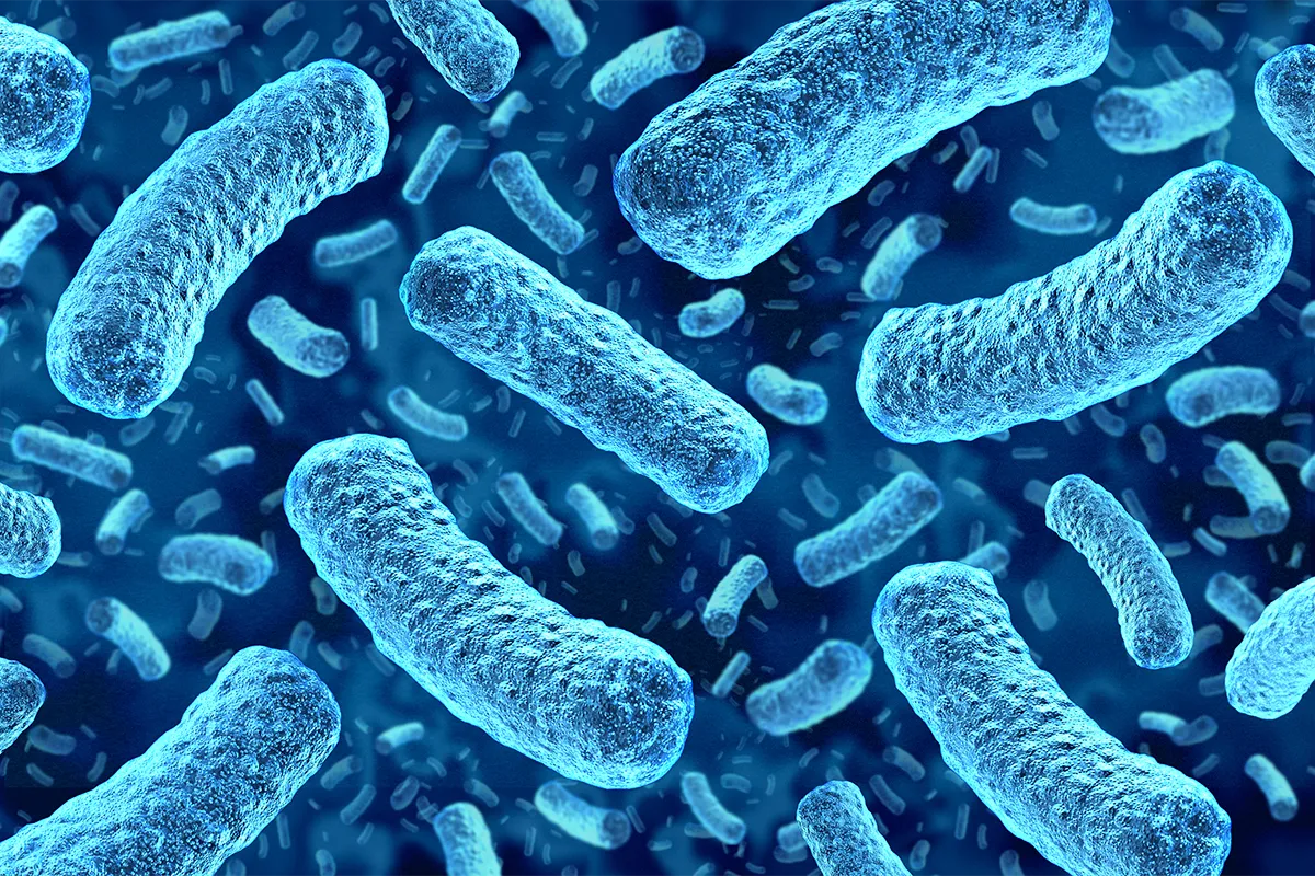 Bactéries bleues représentées en illustration médicale.