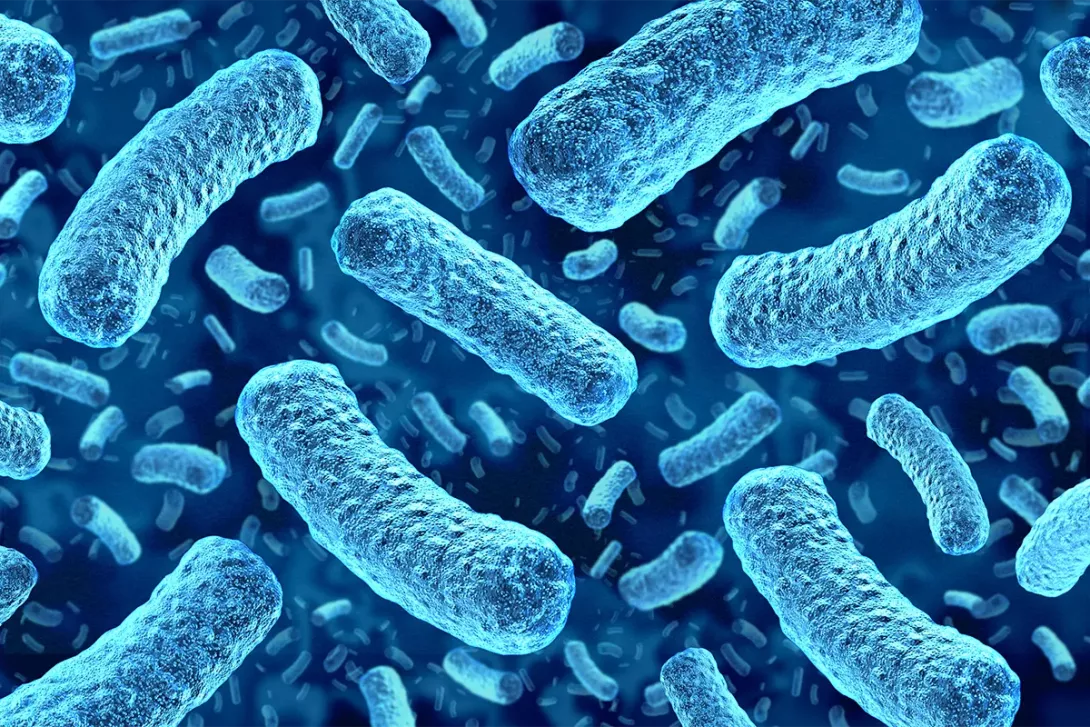 Bactéries bleues représentées en illustration médicale.